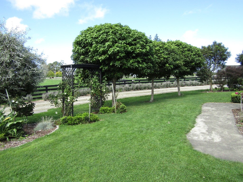 175 Koatanui Road, Brunswick, Whanganui - Carousel 20