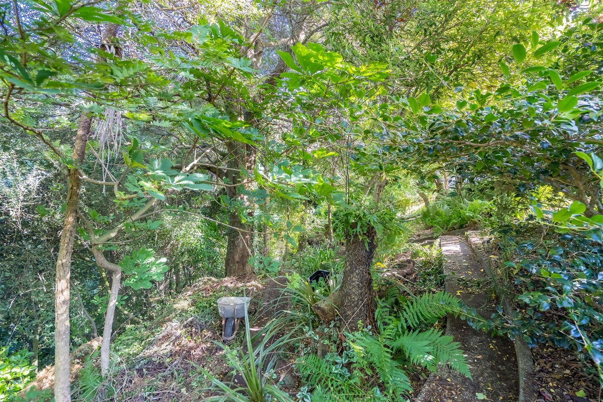 20A McGeorge Avenue, Mornington, Dunedin - Carousel 6