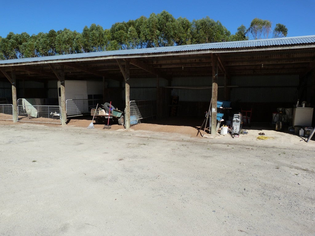 66 Duddings Line, Featherston - Carousel 17