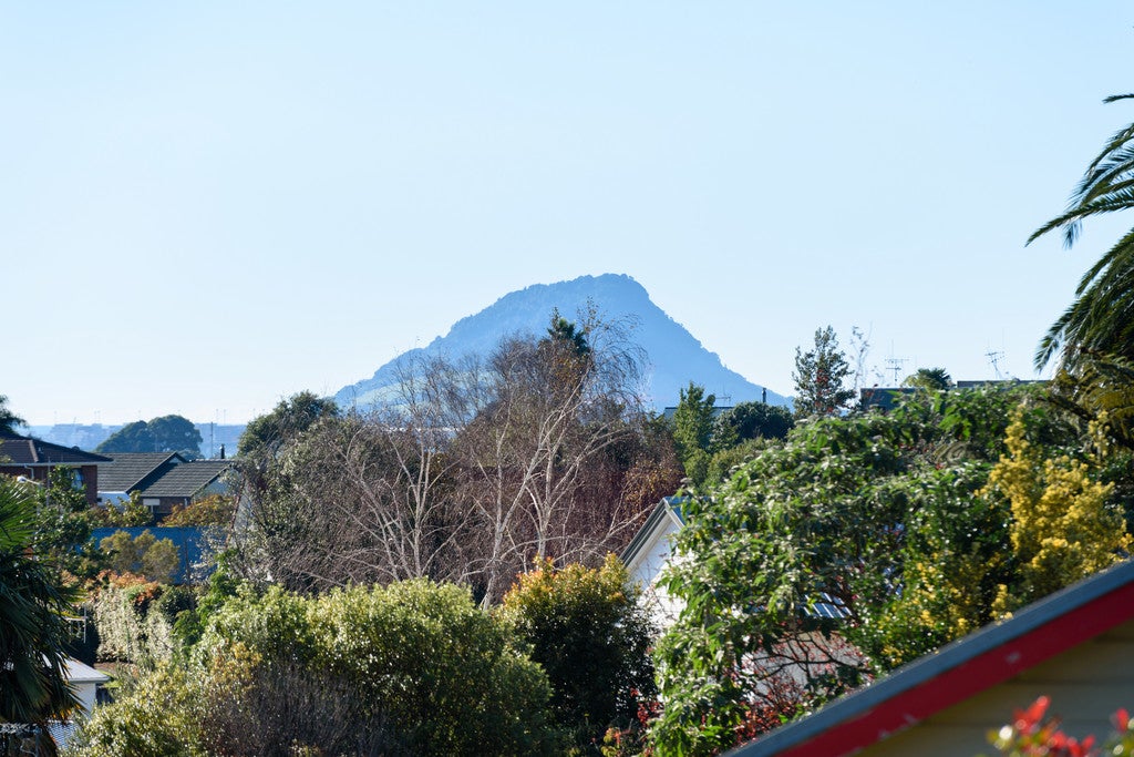 4 Solander Drive, Welcome Bay, Tauranga - Carousel 22