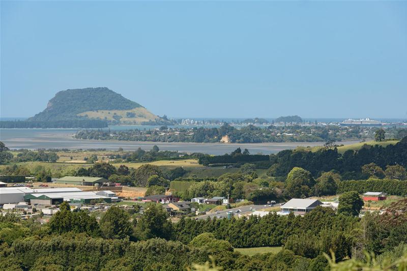 51 Corbett Drive, Minden, Tauranga - Carousel 2