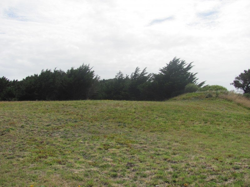 23 Taonui Street, Waitarere Beach, Levin - Carousel 7