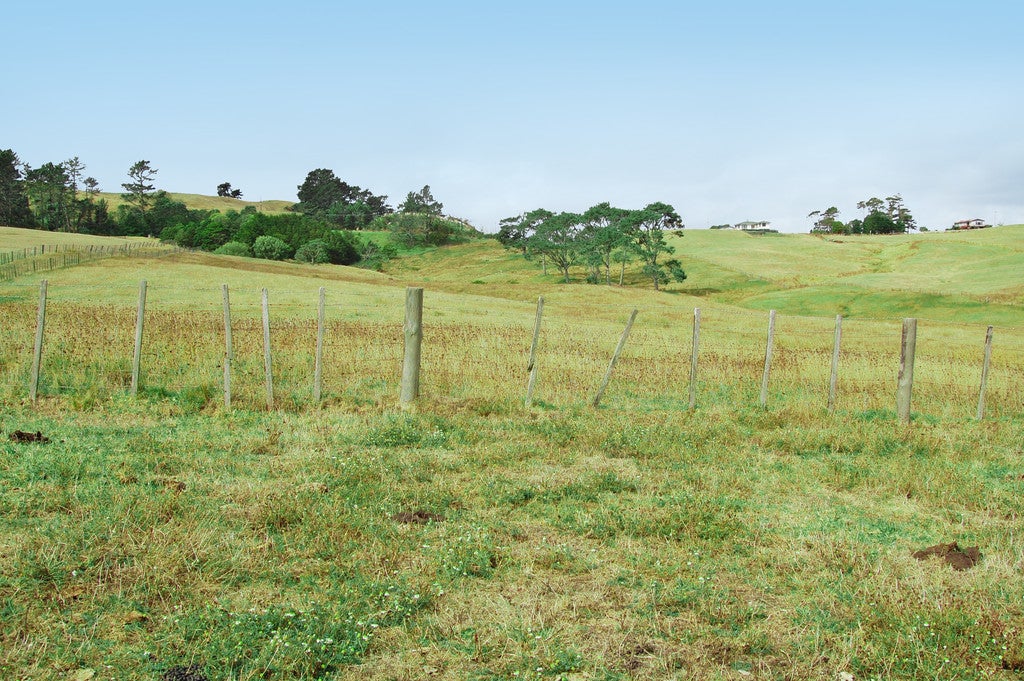 0 Centennial Park Road, Wellsford, Wellsford - Carousel 12
