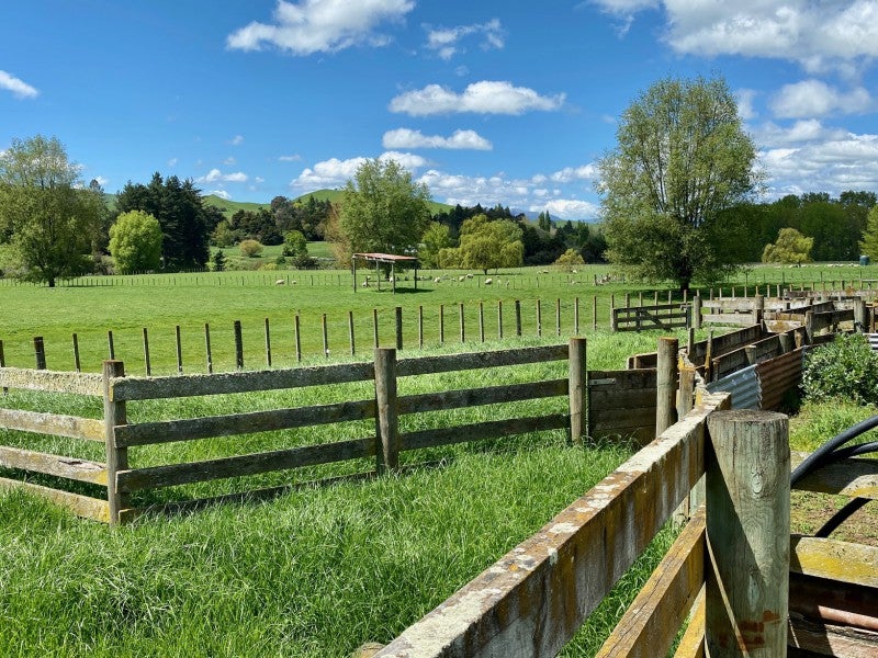 7988 State Highway 1, Taihape - Carousel 2