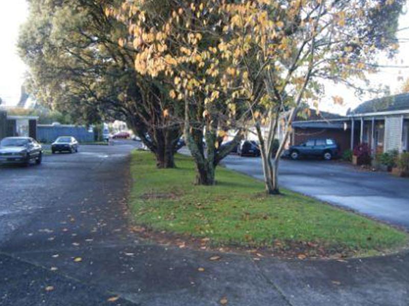 12B Claude Road, Epsom, Auckland - Carousel 1