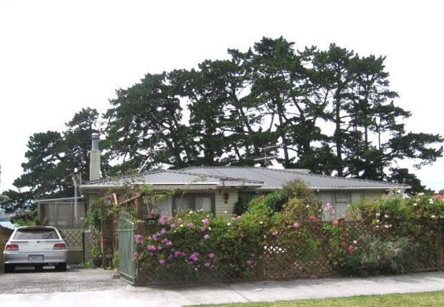 50 Silverton Avenue, Wai o Taiki Bay, Auckland - Carousel 1