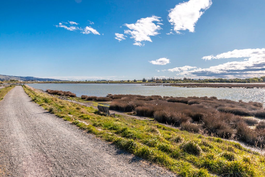 35 Falcon Street, New Brighton, Christchurch - Carousel 14