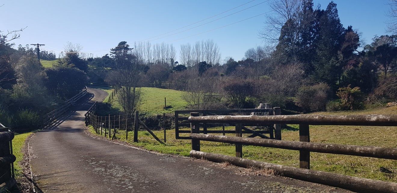 664 Crawford Road, Minden, Tauranga - Carousel 22