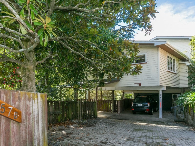 57B Napier Terrace, Hospital Hill, Napier - Carousel 21