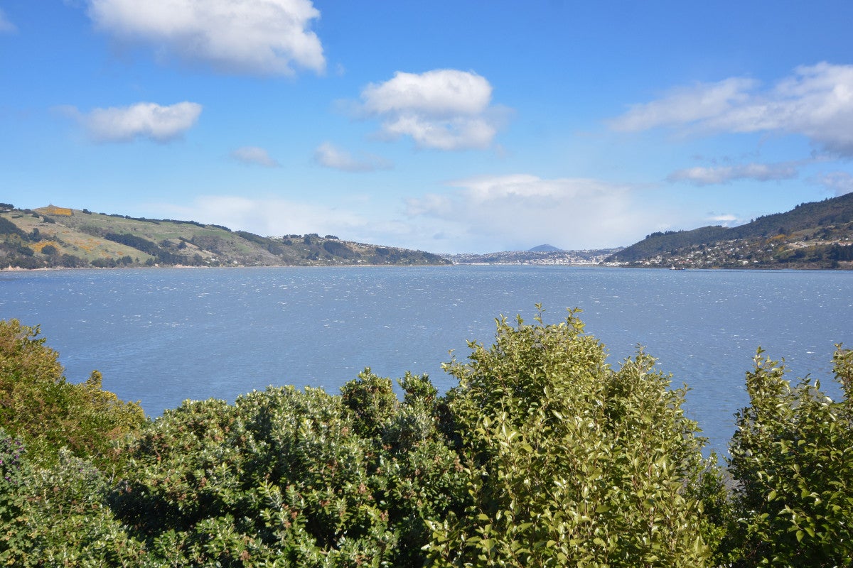 22 Bayne Terrace, Macandrew Bay, Dunedin - Carousel 1