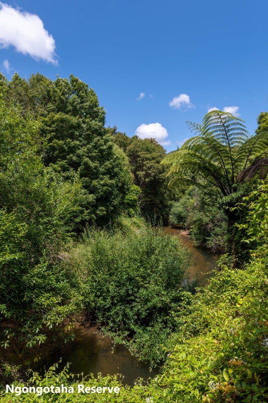 15A Western Road, Ngongotaha, Rotorua - Carousel 12