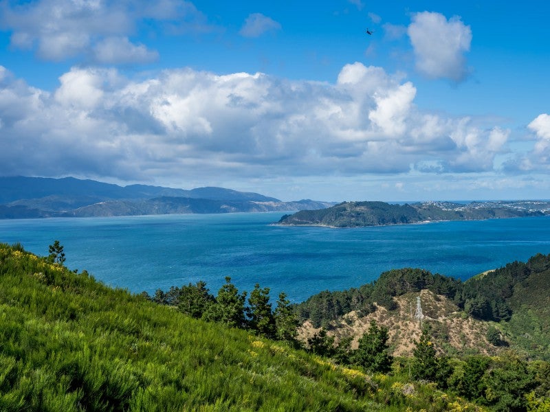 10 Cessna Way, Newlands, Wellington - Carousel 2