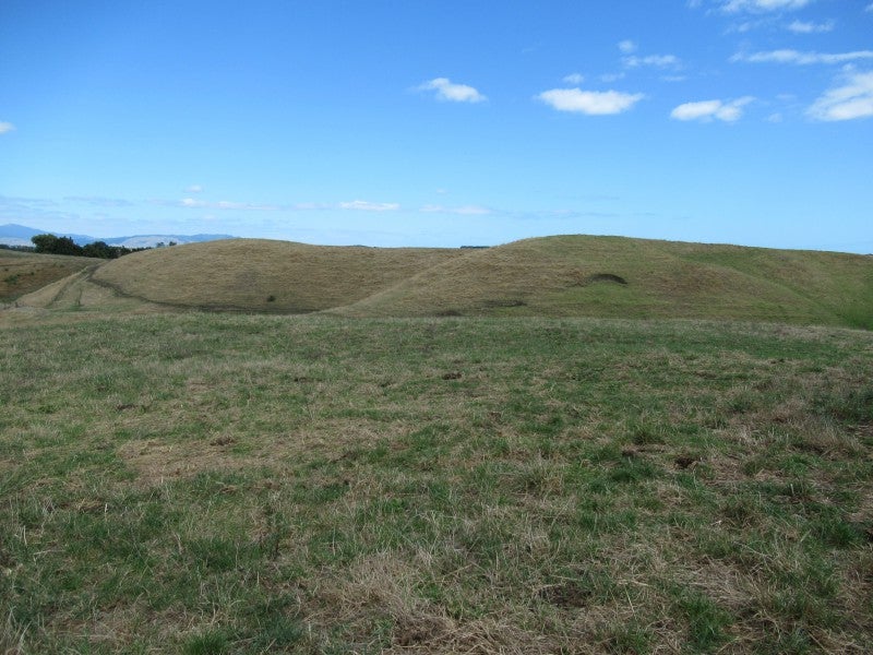 451 Kuku Beach Road, Kuku, Levin - Carousel 15