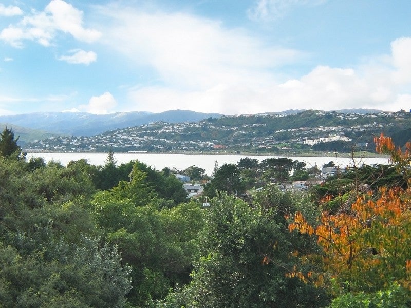 10 Ngahue Crescent, Elsdon, Porirua - Carousel 1