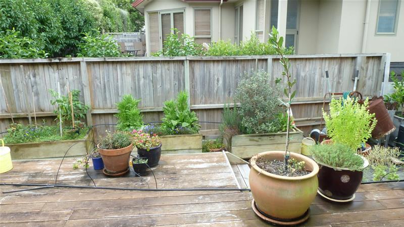 34A Waterloo Street, Howick, Auckland - Carousel 13