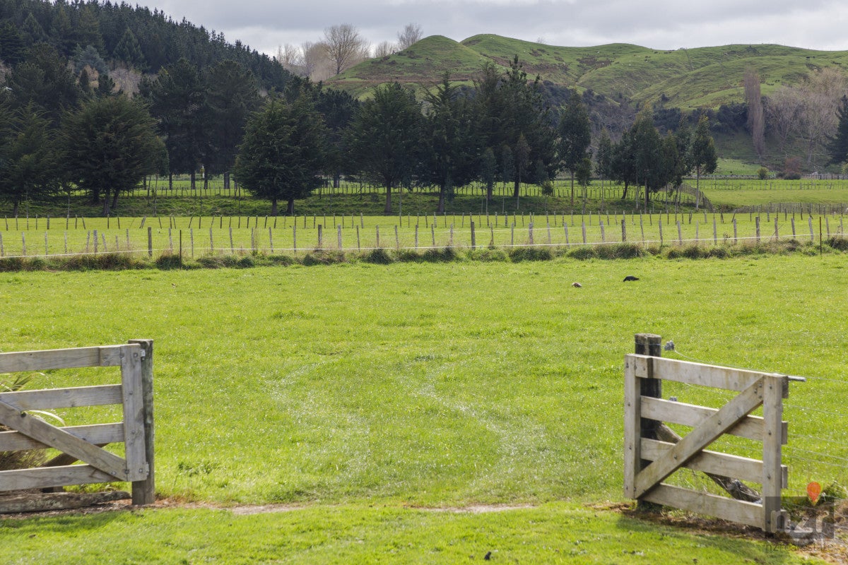 73 Vinegar Hill Road, Hunterville - Carousel 20