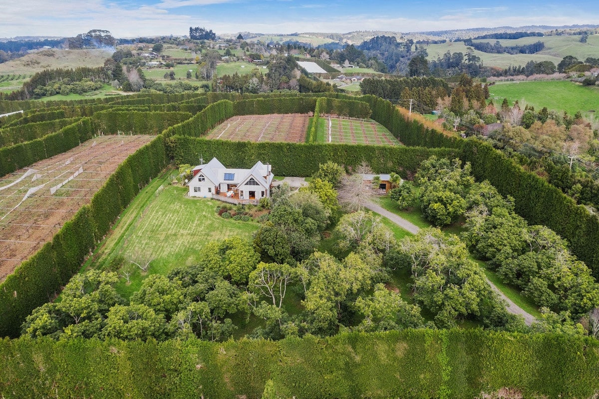 311 Wainui Road, WHAKAMARAMA, KATIKATI - Carousel 20