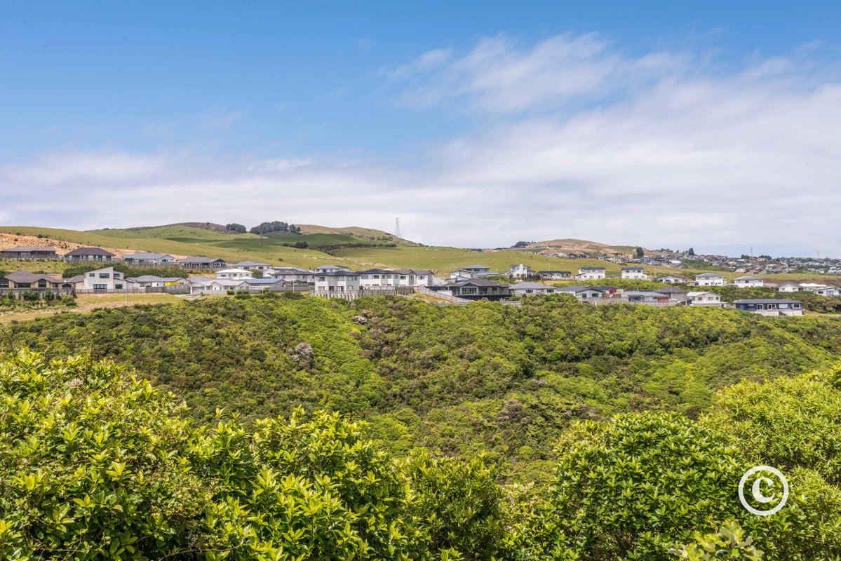 224 Mark Avenue, Grenada Village, Wellington - Carousel 16