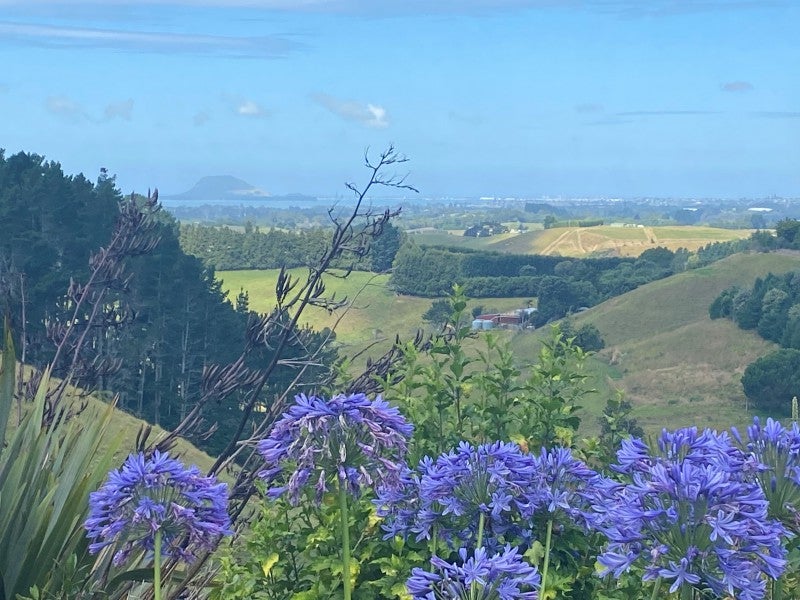236 Waipapa Block Road, Whakamarama, Tauranga - Carousel 1
