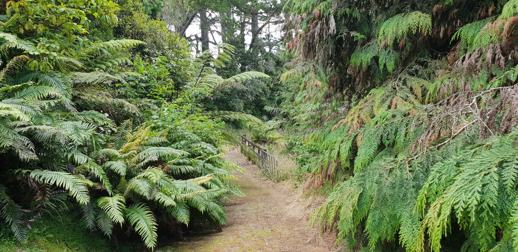 0 State Highway 31, Kawhia, Kawhia - Carousel 2