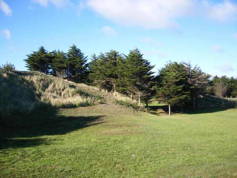 181 Park Avenue, Waitarere Beach, Levin - Carousel 1