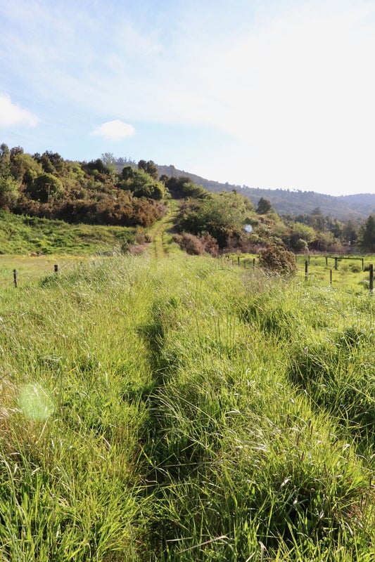 0 Charming Creek Road, Seddonville, Westport - Carousel 9