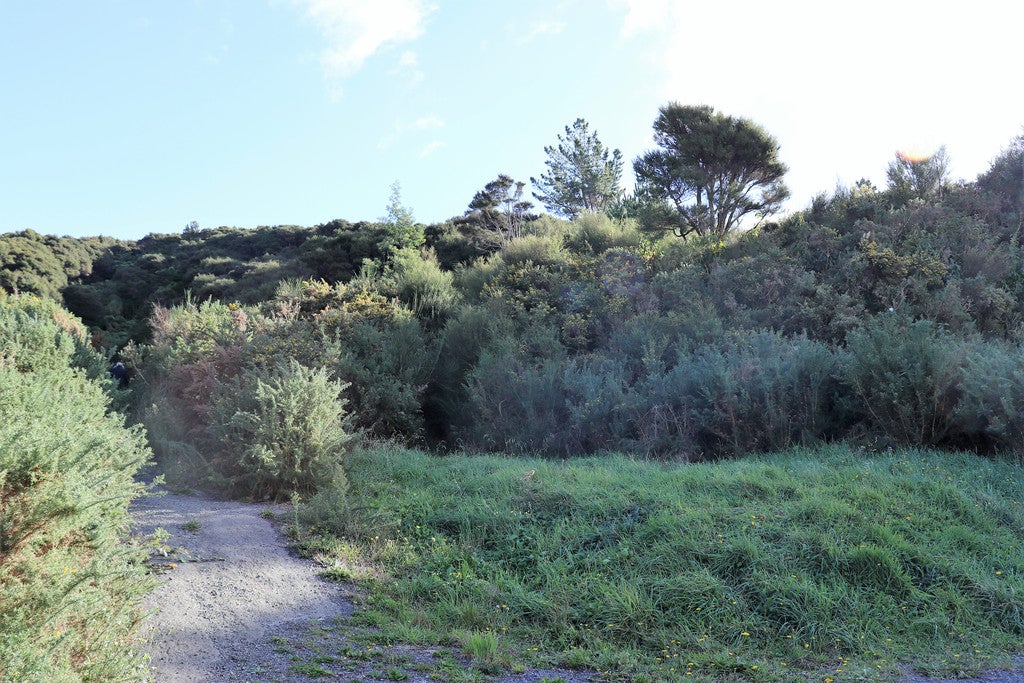 364 State Highway 2, WHAKATU, HASTINGS - Carousel 1