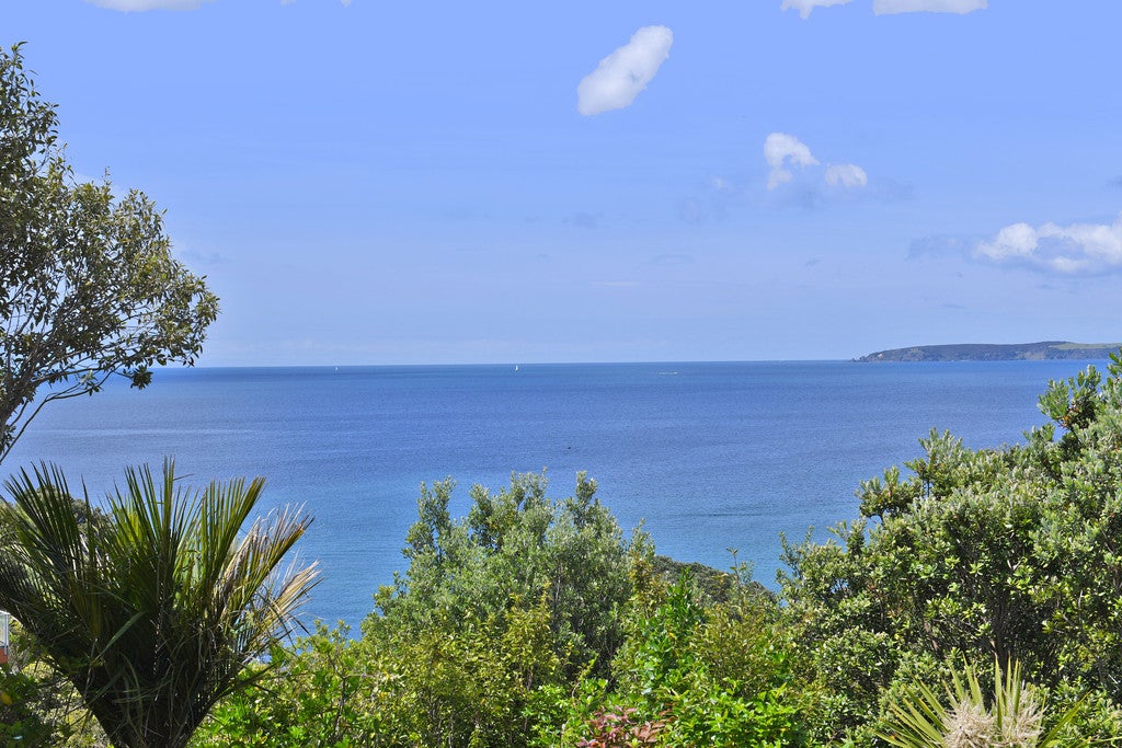 17 Wonderview Road, Leigh, Leigh - Carousel 1