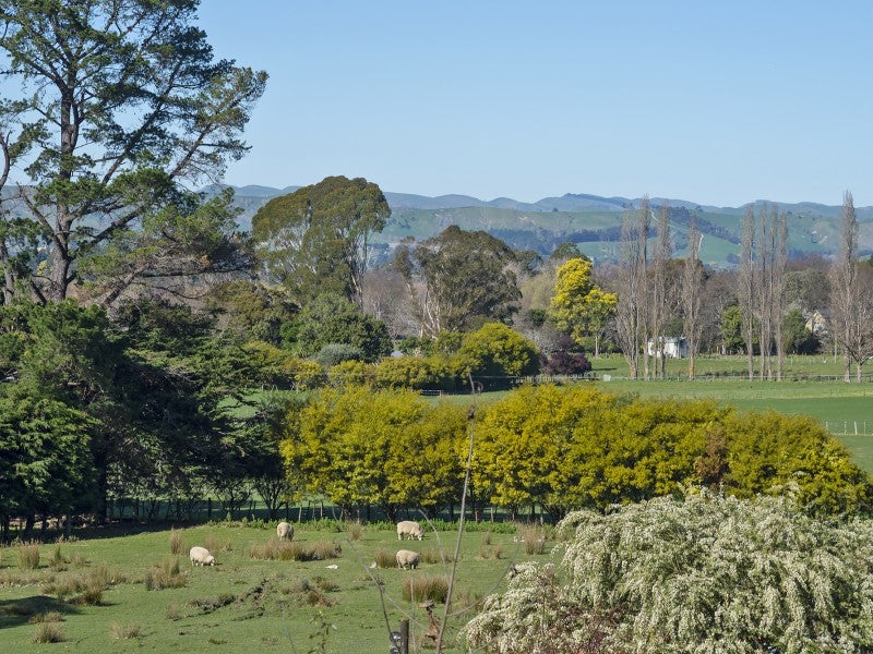 17 Nikau Heights, Lansdowne, Masterton - Carousel 18