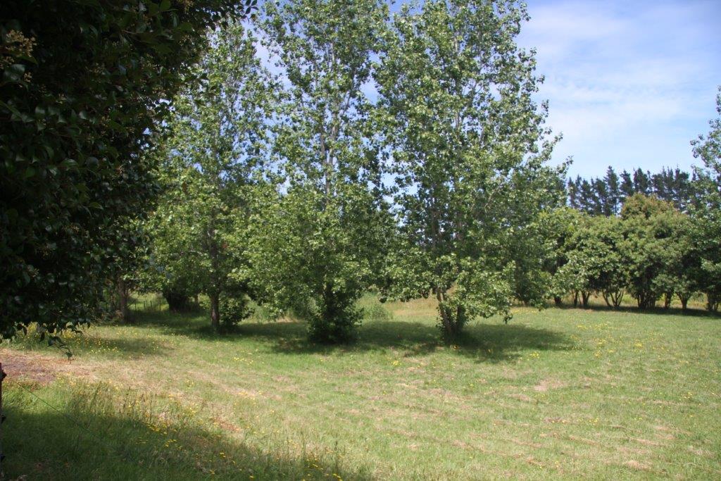 110 HUKATERE RD, Pukenui, HOUHORA - Carousel 26