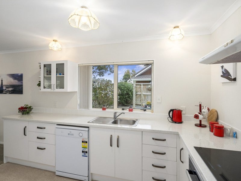 20 Homewood Avenue, Levin, Levin - Carousel 24