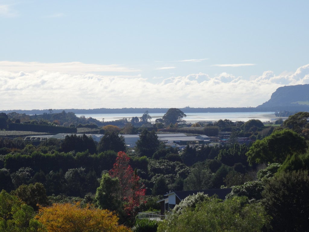 140C Minden Road, Minden, Tauranga - Carousel 1