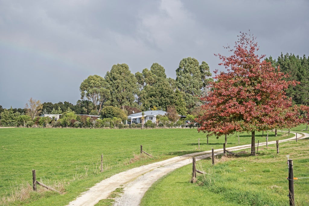 485 Upper Plain Road, Upper Plain, Masterton - Carousel 22