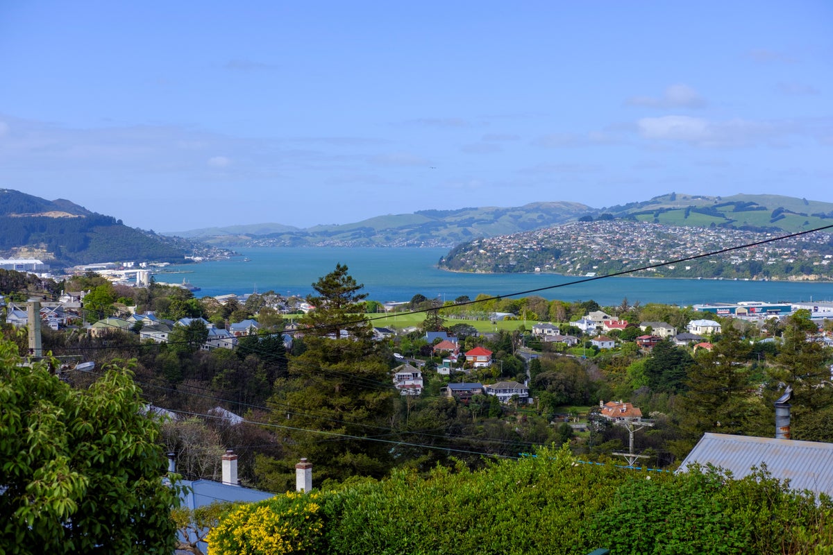 88 Maryhill Terrace, Maryhill, Dunedin - Carousel 20