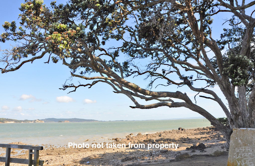 12 Goebel Street, Tinopai - Carousel 20