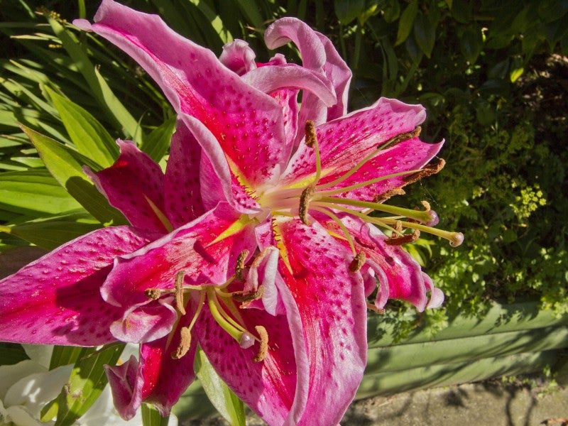 129 MIROMIRO RD, MAUNGARAKI, LOWER HUTT - Carousel 1
