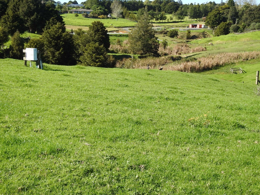 543 Three Mile Bush Road, Te Kamo, Whangarei - Carousel 26