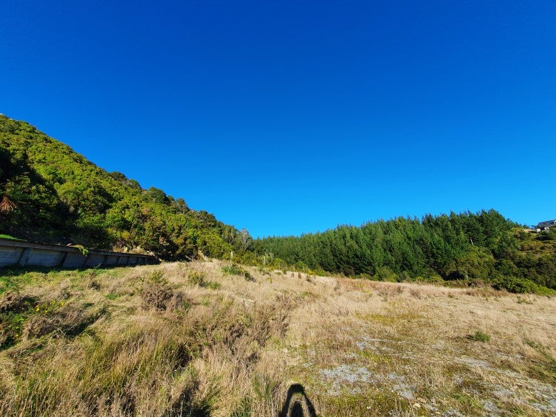 8 Big Paddock, BLUE SPUR, HOKITIKA - Carousel 9