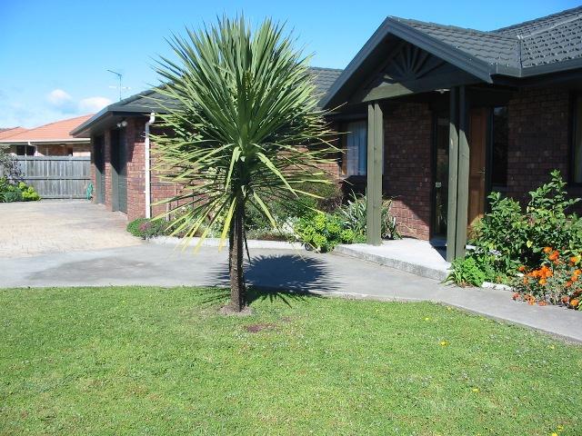 138 Maxwell Road, Redwoodtown, Blenheim - Carousel 1