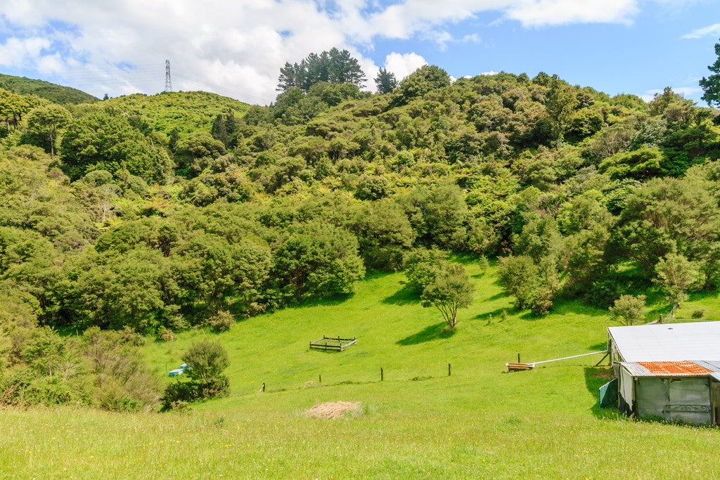 141 Upper Fitzherbert Road, Wainuiomata, Lower Hutt - Carousel 20