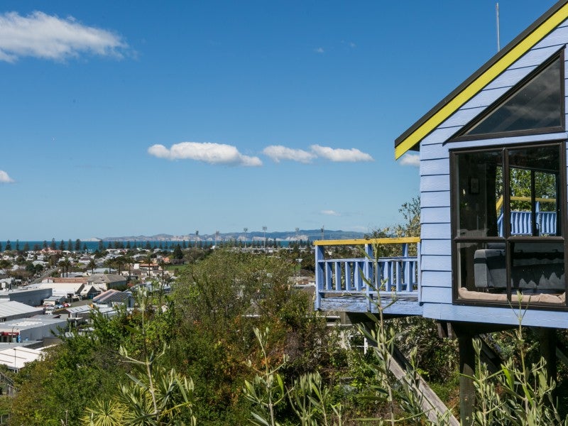 11A Guys Hill Road, Hospital Hill, Napier - Carousel 13