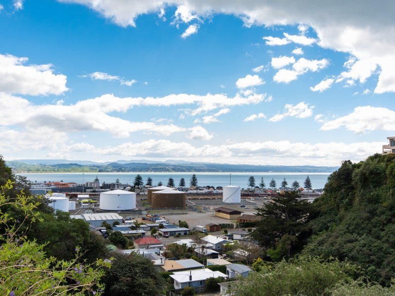 26 George Street, Hospital Hill, Napier - Carousel 2