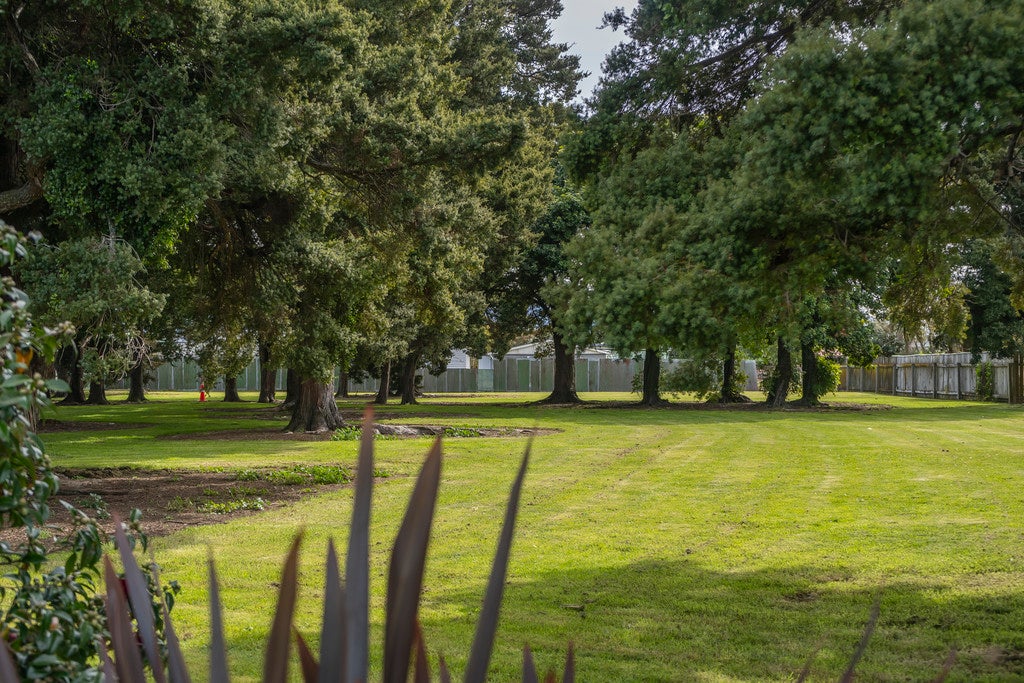 13 Freyberg Street, Solway, Masterton - Carousel 20