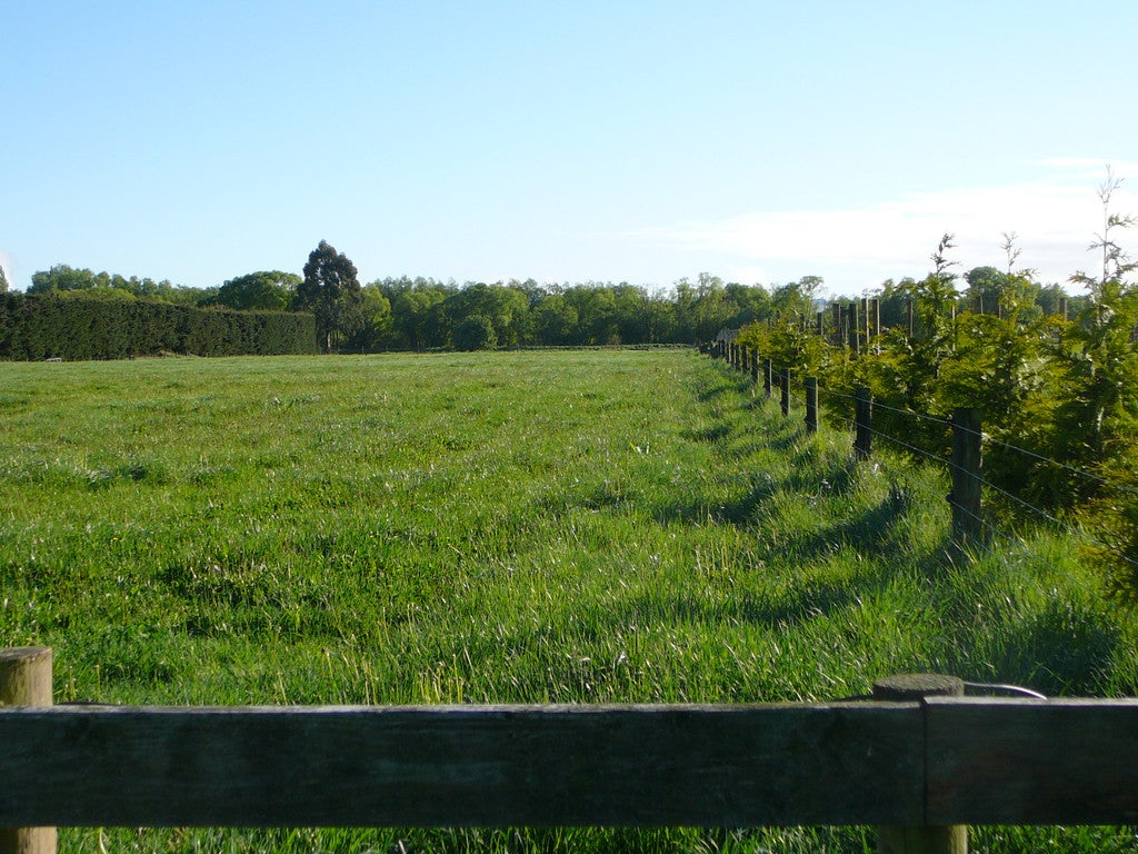 586 Mount Thomas Road, Fernside, Rangiora - Carousel 7