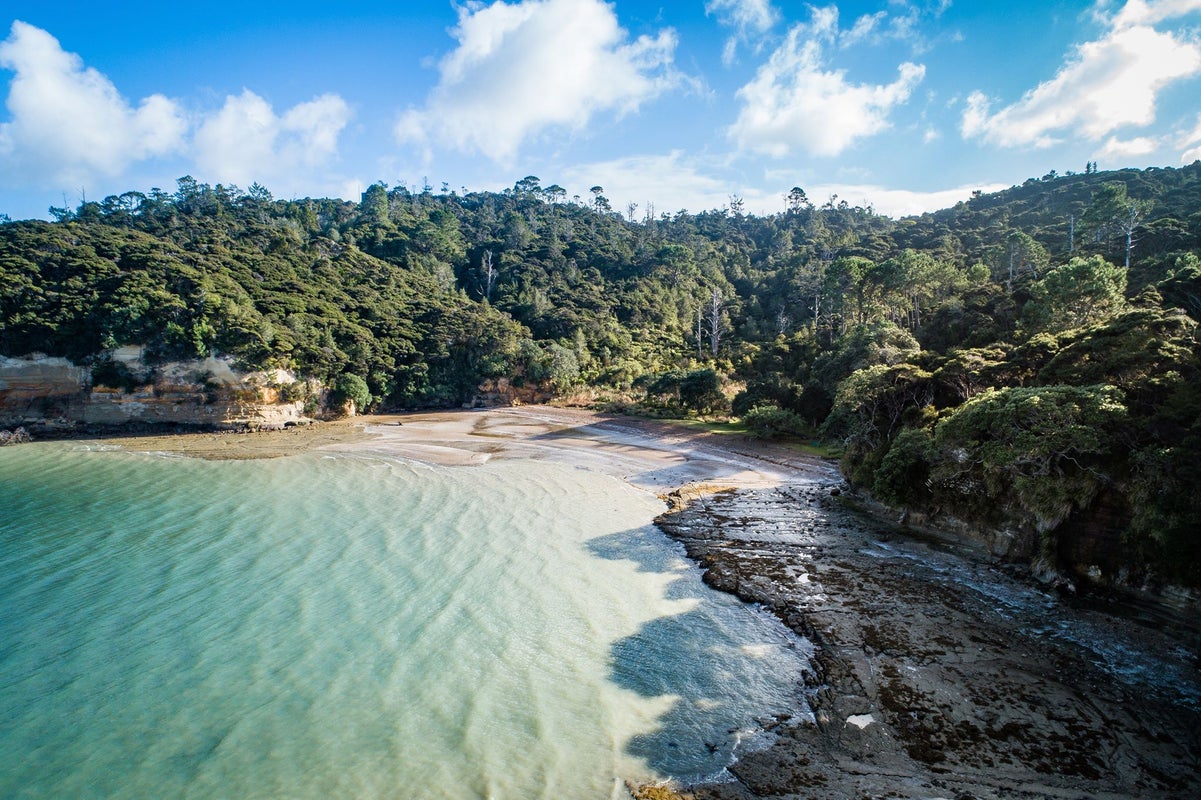 69E Waipa Street, Birkenhead, Auckland - Carousel 10