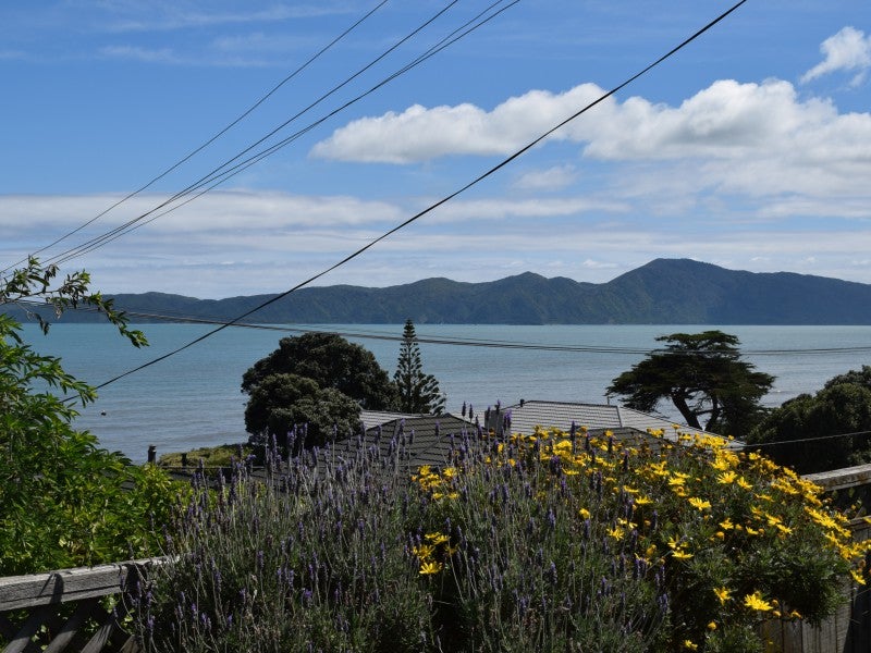 22 Rosetta Road, Raumati South, Paraparaumu - Carousel 1