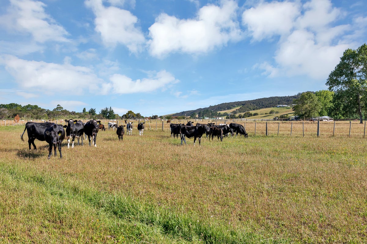 322 Takahiwai Road, Takahiwai, Whangarei - Carousel 17