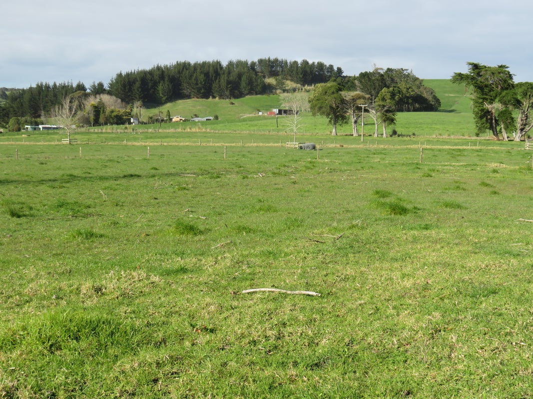 0 Ovens Rd, Matakohe - Carousel 23