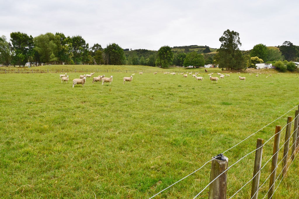 214 Pukemiku Road, Mangamutu, Pahiatua - Carousel 2