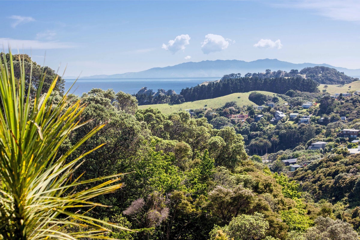 23 Cory Road, Palm Beach, Waiheke Island - Carousel 2